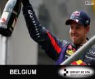 Себастьян Феттель празднует свою победу в Гран Гран-при Бельгии 2013